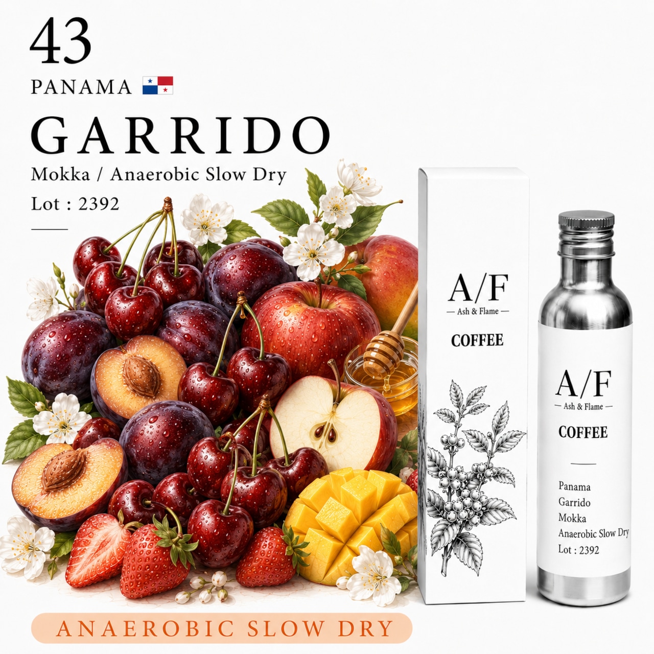 Panama Garrido Mokka（Anaerobic Slow Dry）Lot : 2392の商品写真