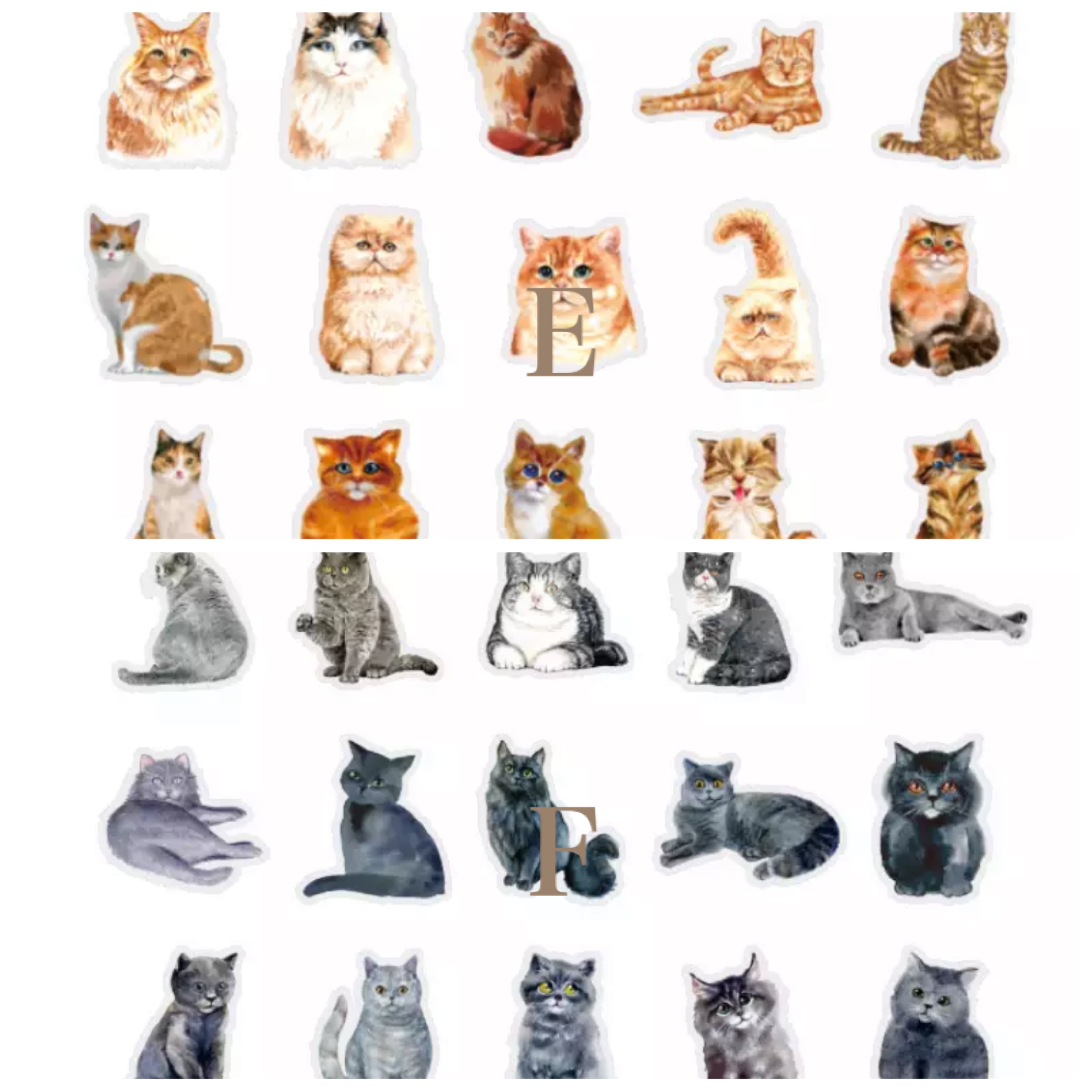 海外作家 メモ帳/フレークシール