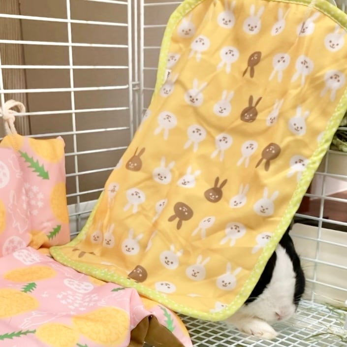 マットでほりほり | うさぎ専門店うさぎとわたし京都店