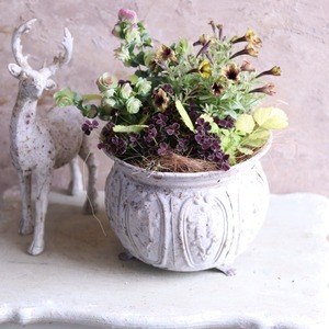 モンディマンシェ 寄せ植え　ペチュニアヴァルゴシャビーシック｜届いてすぐ玄関に飾れる 　新築、開店、退職のプレゼントにもオススメ　