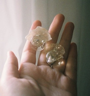 Seashell dome