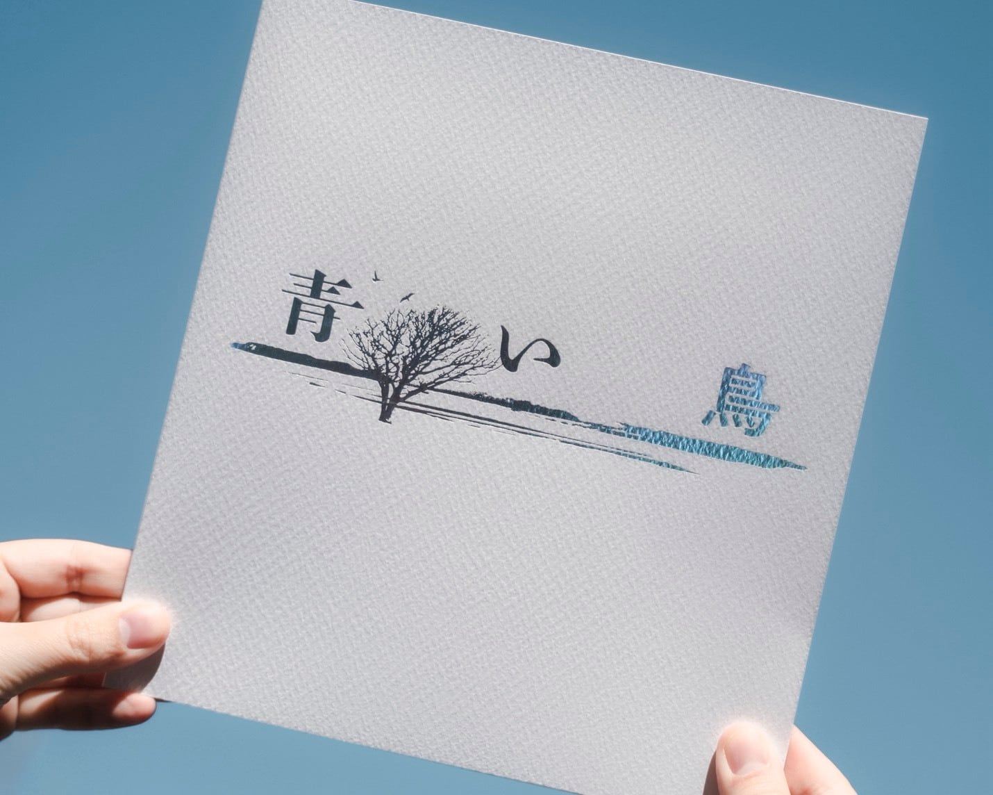 阿呆鳥様、専用ページ 増田彩来『青い鳥』 | 赤々舎 web shop