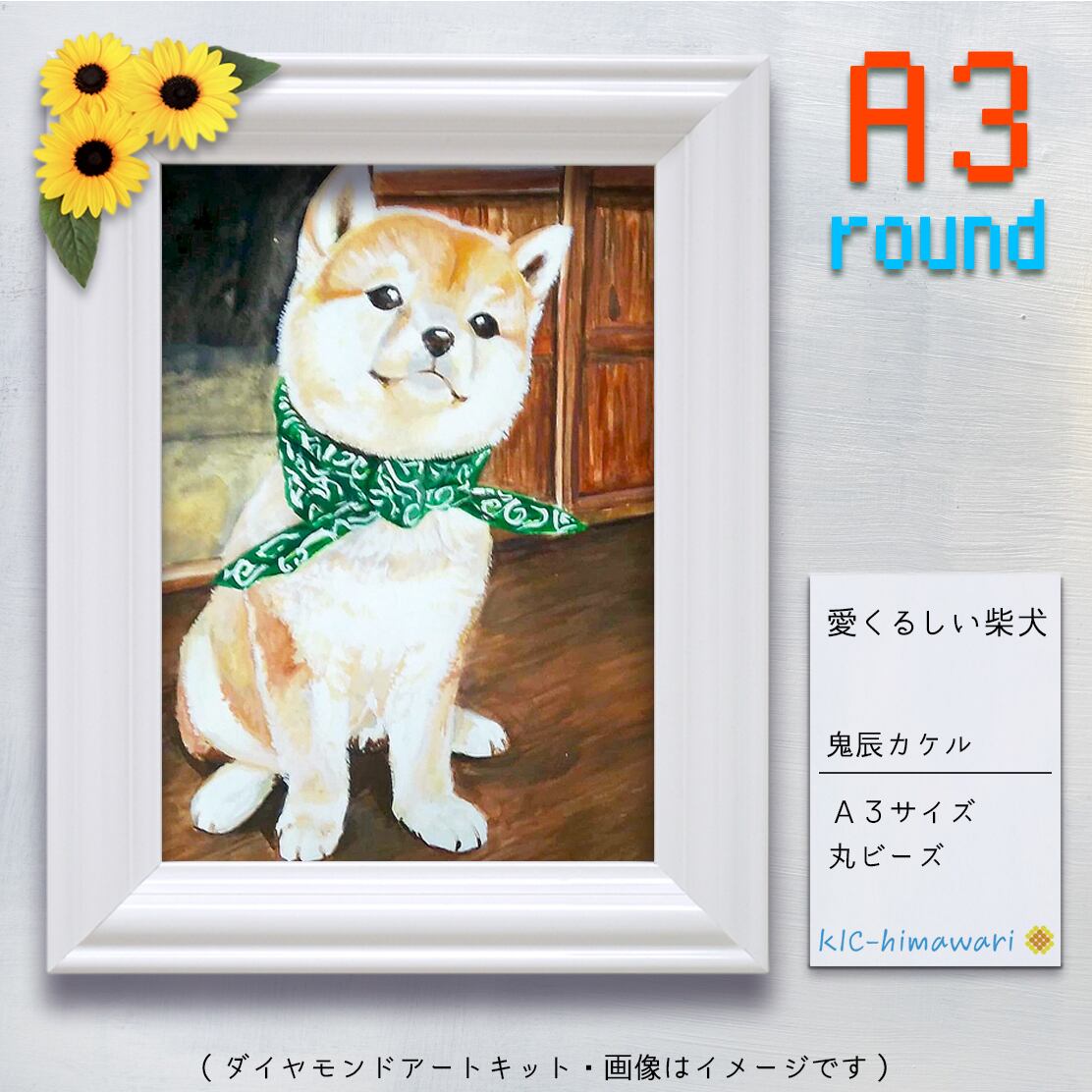 【China】A3サイズ・丸型 ont-048『愛くるしい柴犬』鬼辰カケルのダイヤモンドアートキット♔