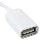 BLUEXIN 3.5 MMオスAuxオーディオプラグジャックにUSB 2.0メス変換ケーブルコードen