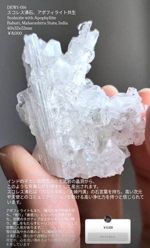 ⭔ お客様専用ページ ⭔ __tranquillite__様　