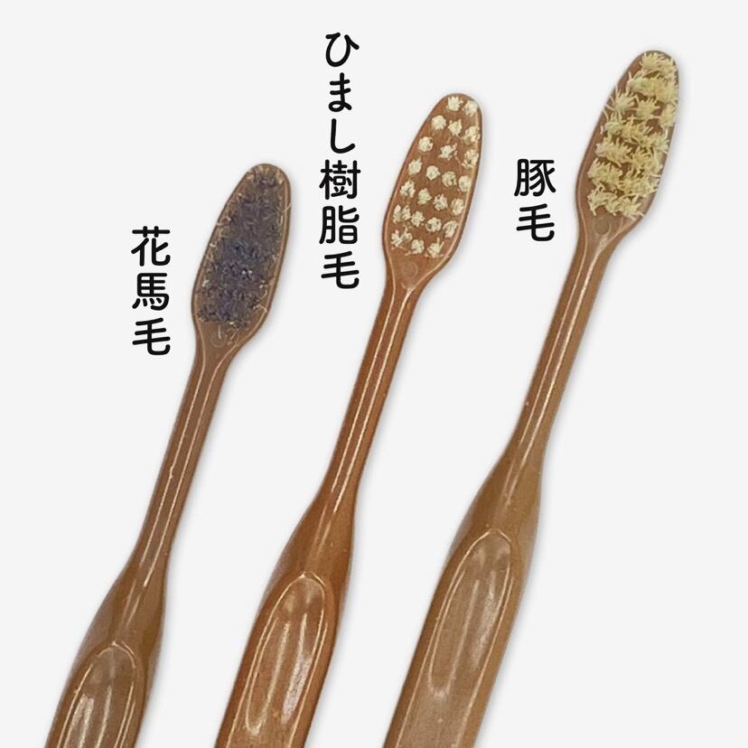 歯ブラシケース おしゃれ 携帯 収納 軽量 トラベル オフィス 旅行用歯みがきセット Int 039 リトルステップ 通販 10個歯ブラシ柔らかい毛の大人の竹炭家庭用ファインウール抗菌 Gebaeudereinigung Hennef De