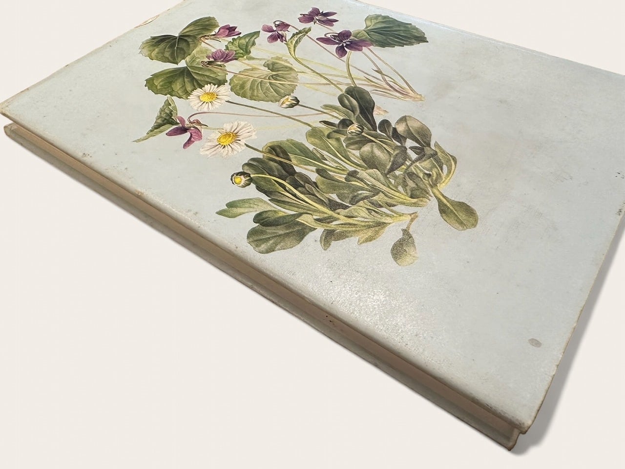 SL084】Shakespeare's Flowers / Jessica Kerr | KITAZAWA BOOKSTORE