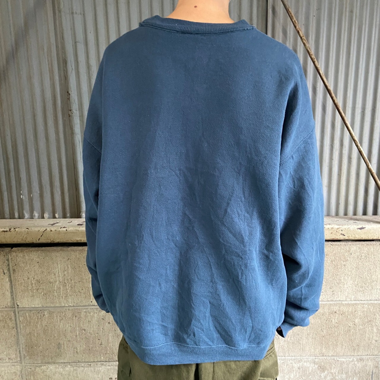 Hanes ヘインズ ALASKA プリント スウェット メンズL 古着 アニマル柄 