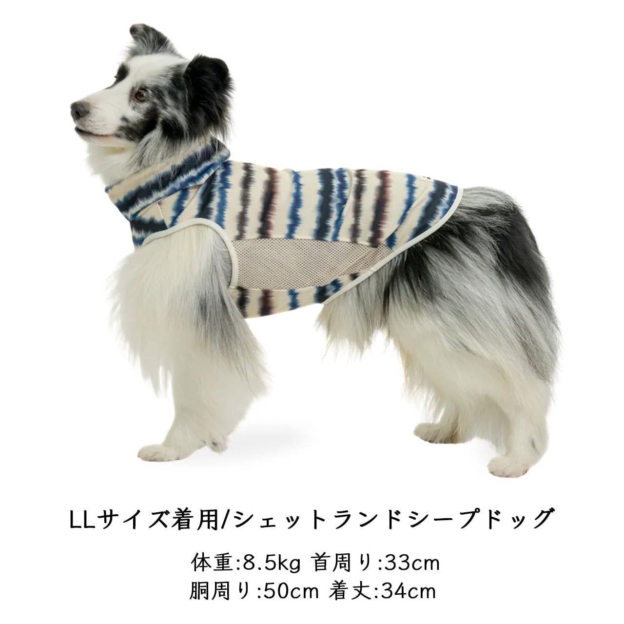 アルファアイコン SUMMER COOLING NECK TIDE 1Lサイズ ALPHAICON [アルファアイコン] SUMMER COOLING NECK [26SCN] サマー