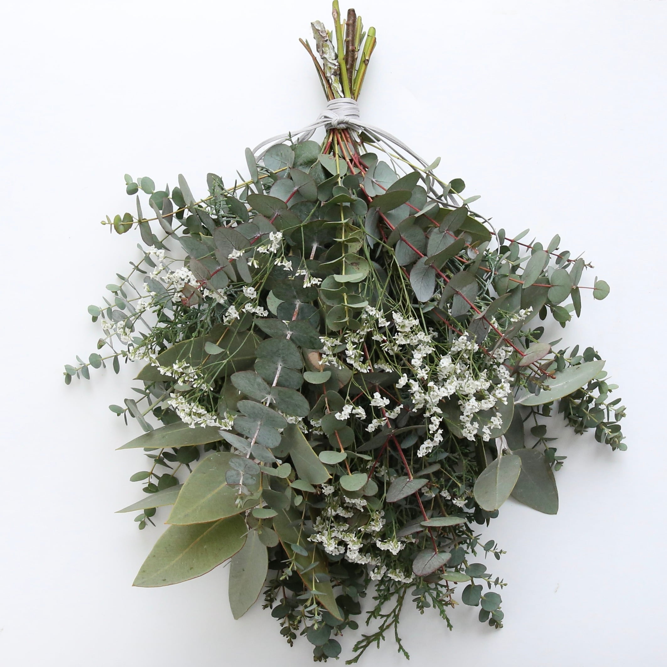 a7f20b51c14ccac3a2588eca2c1788