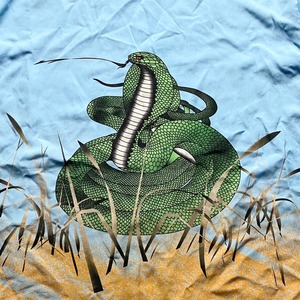 old COBRA print open collar shirt