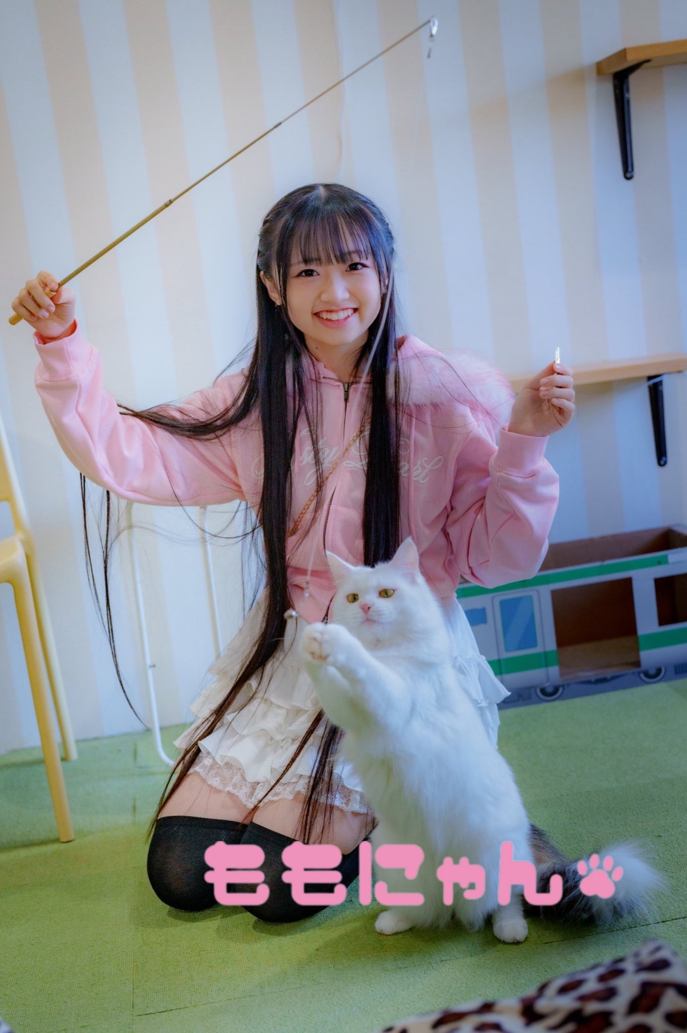 ももにゃん