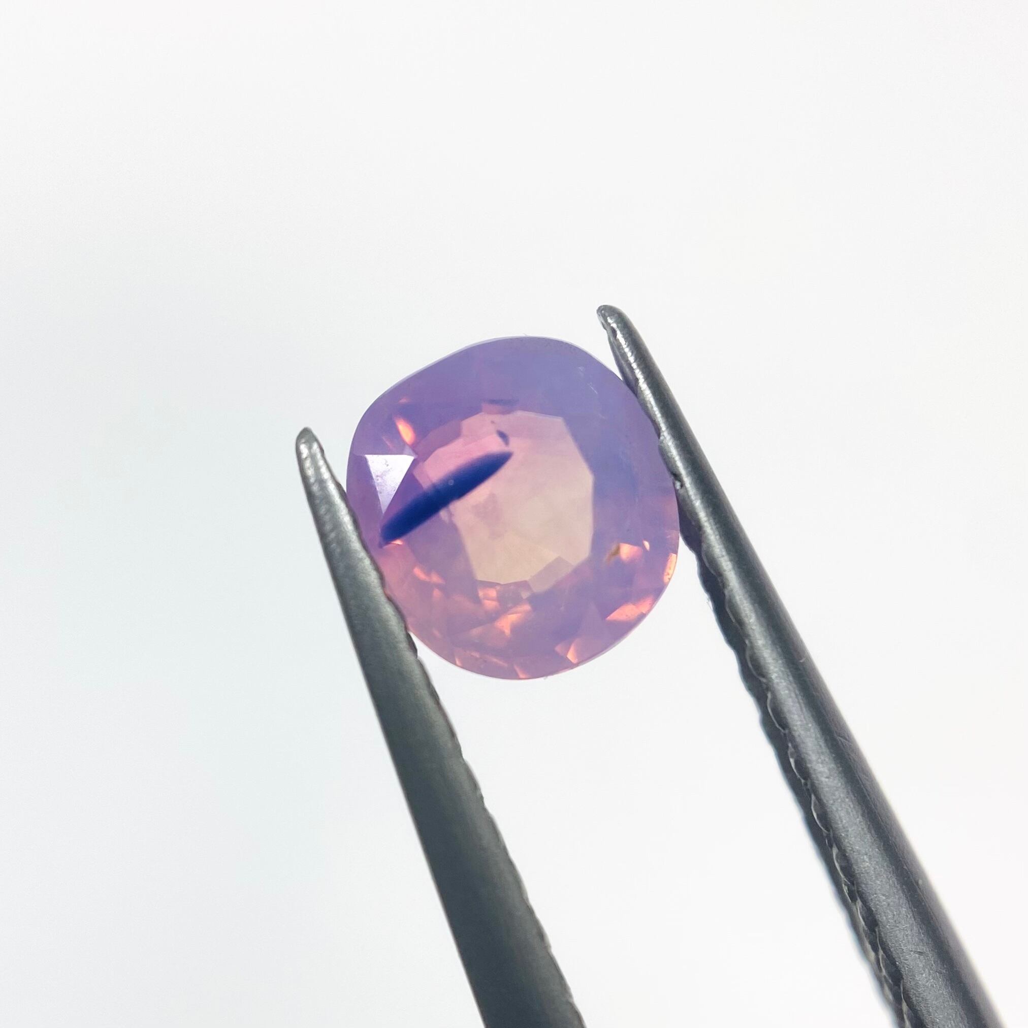 桜満開 サファイア