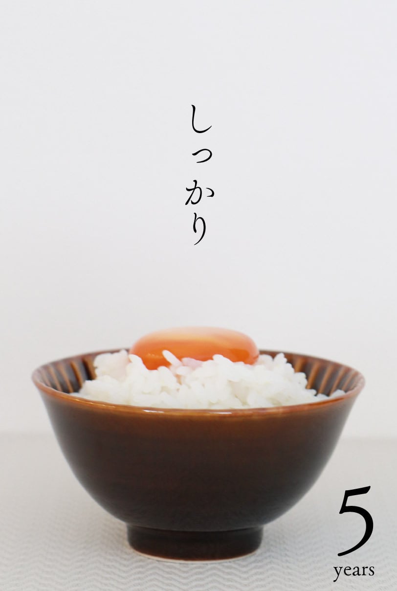 ✳️ゆみゆみ✳️ 農薬や化学肥料不使用 ハツシモ 玄米 １０.１０キロ ハツシモ,はつしも