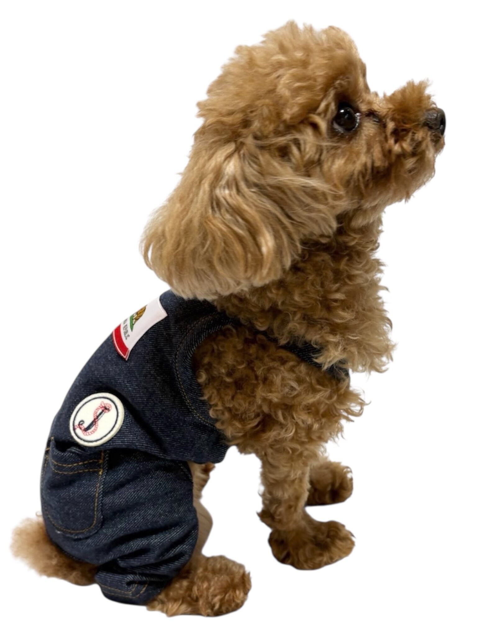 ALL ITEM | JAGS[小型犬/犬服ドッグウェア]