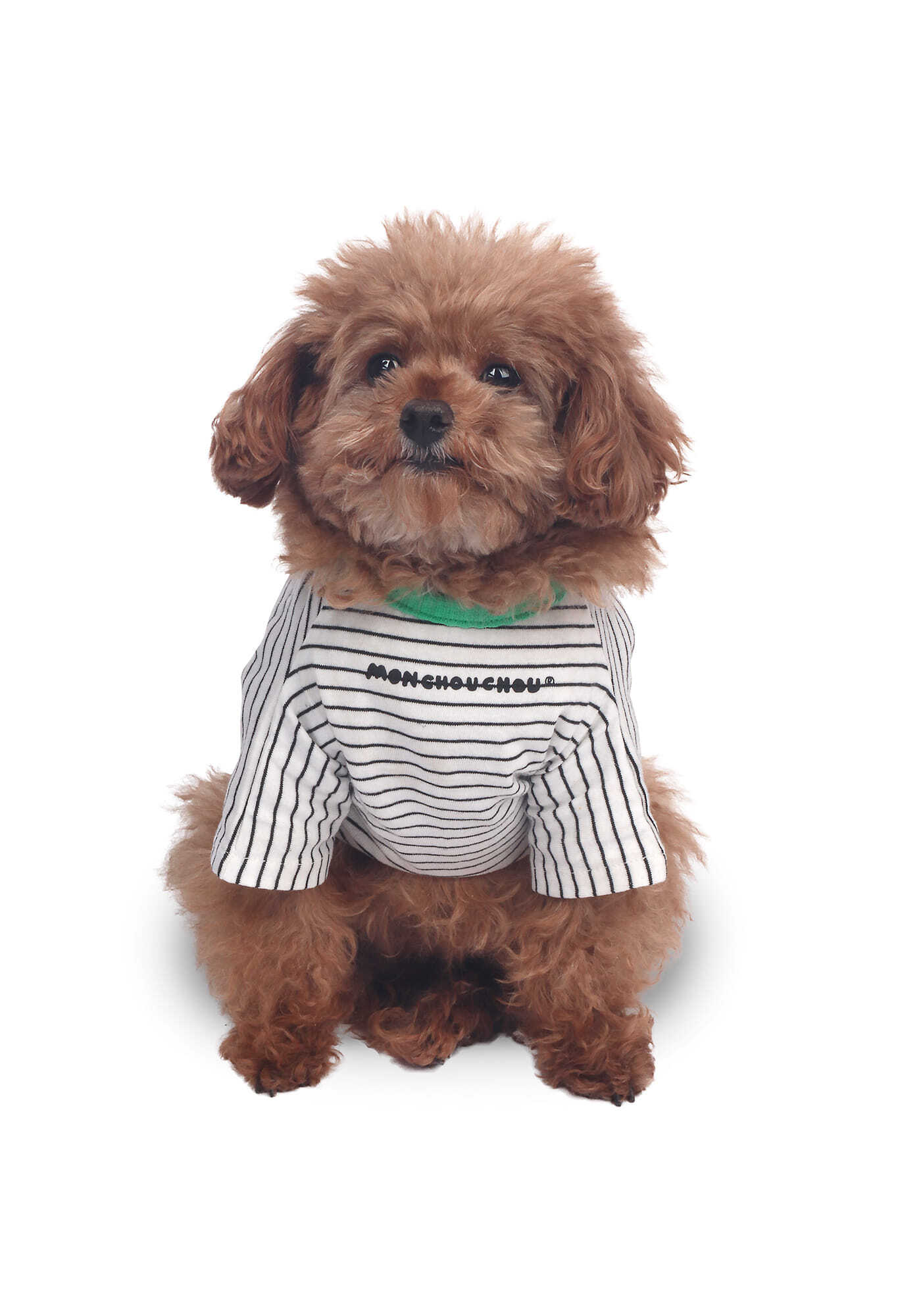 Little Doodle Stripe Tee(Black st)/ monchouchou