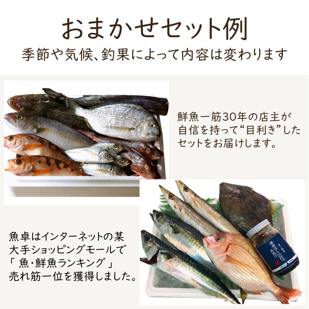 魚卓 鮮魚セット お試し 湘南茅ヶ崎 顔の見えるお店