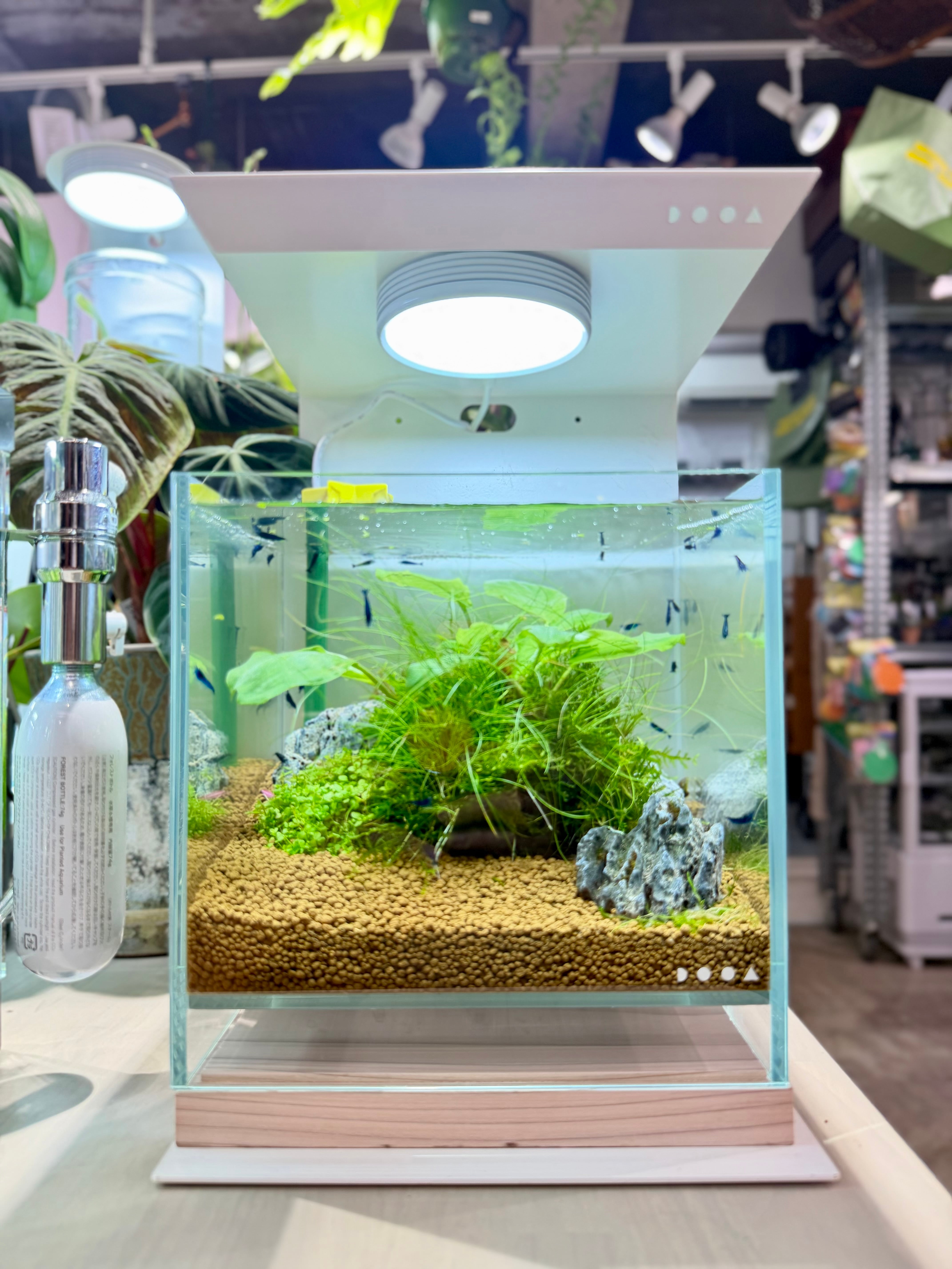 ADA ミニディフューザー co2拡散器 ADA】ミニディフューザー | あかだまちゃんのお店