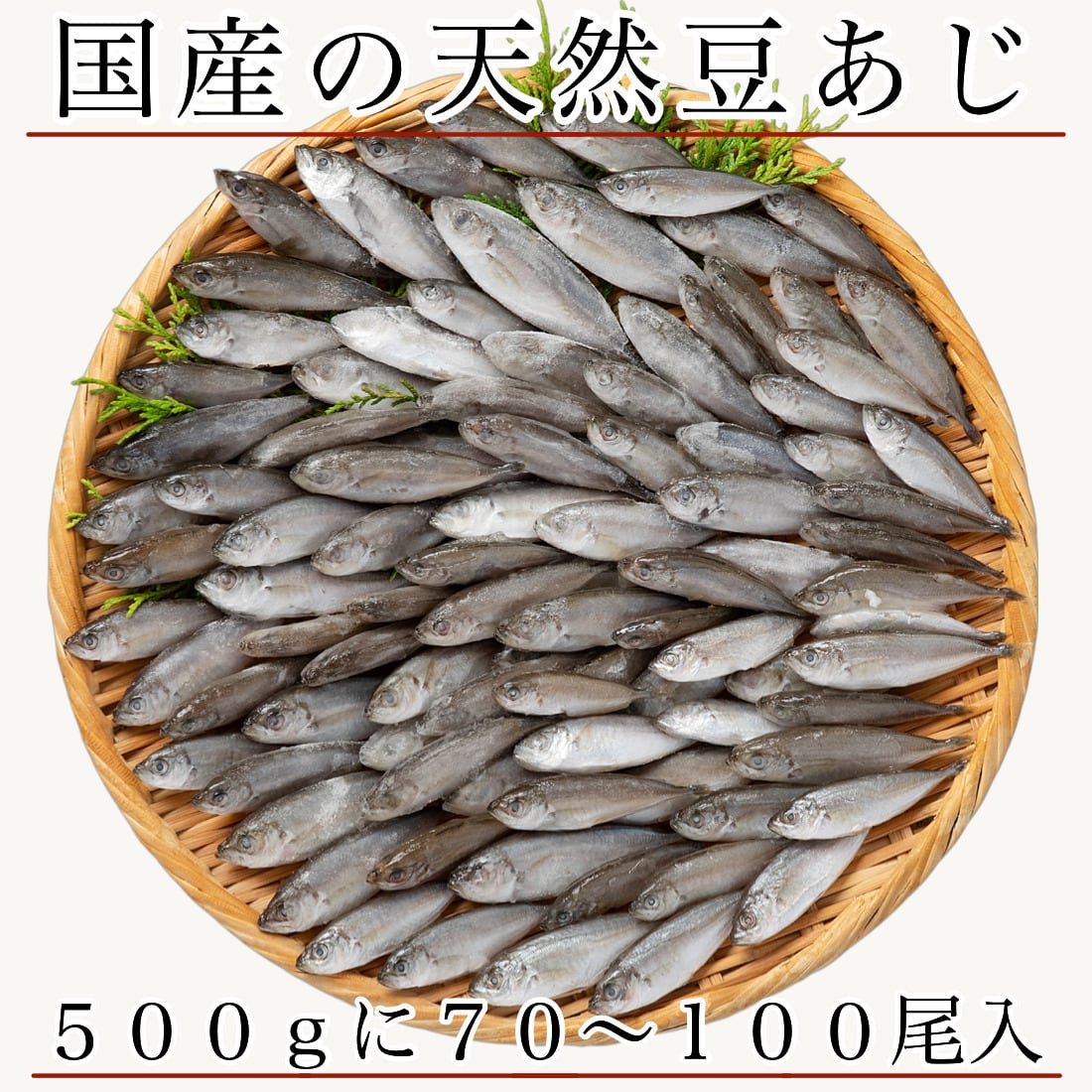 無添加 国産 天然 無塩 豆あじ 500g(約70~100尾入) 冷凍 アジ 鯵 頭
