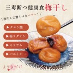 ようきづけ 500g