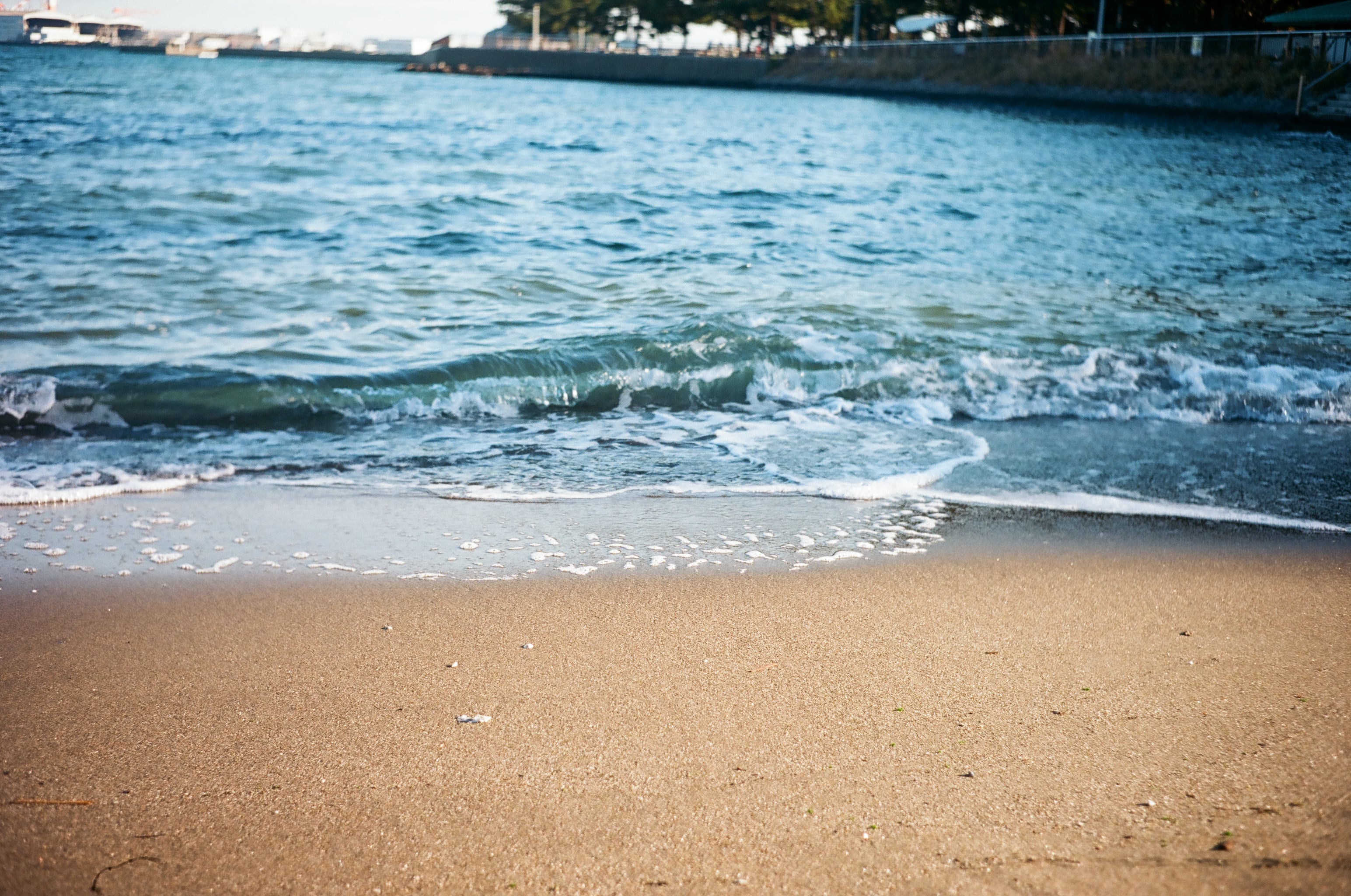 作例あり】OLYMPUS TRIP35 / D.Zuiko 40mm F2.8 整備済 ネガフィルム付