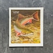 L.L.Bean, Inc. Catalog Spring 1969 / L.L.Bean カタログ 1969年春号