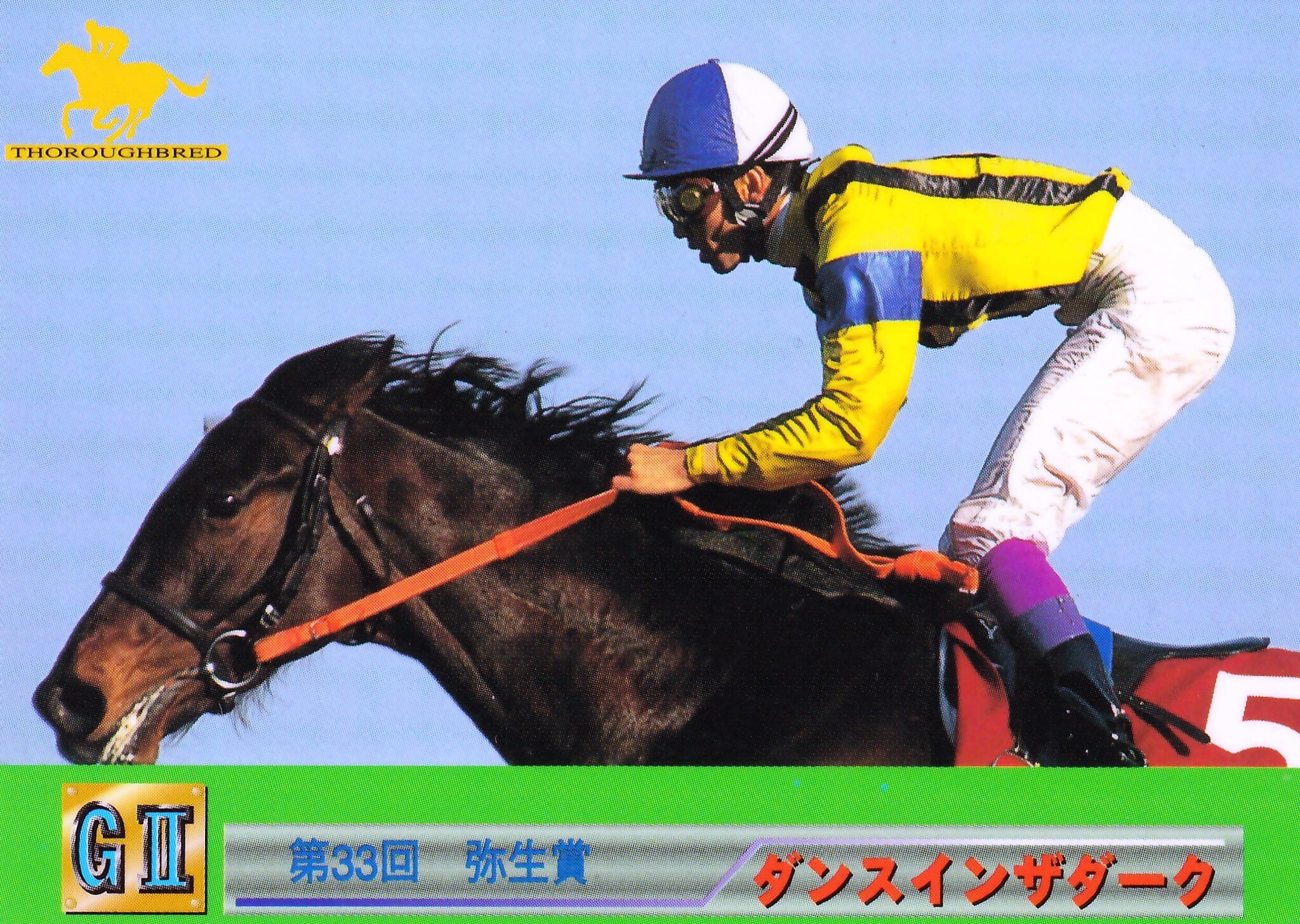 サクラケイザンオー：第57回菊花賞出走馬「サラブレッドカード 96年