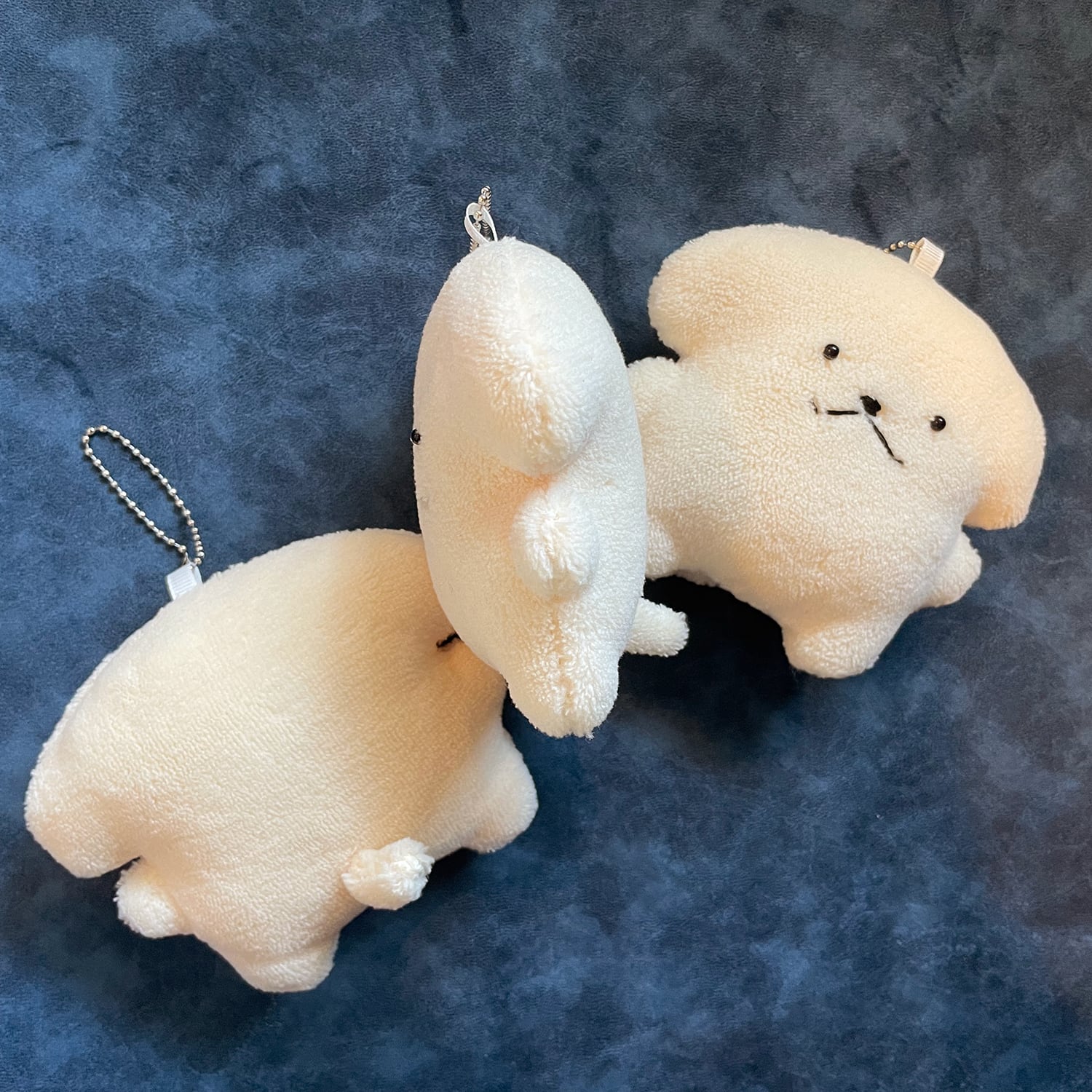 もふいぬ | もふいぬ