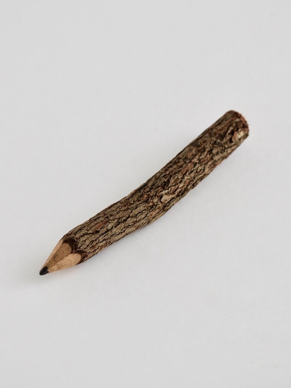 木の枝の鉛筆 10本セット｜Twig Pencils Set of 10【Y5-10