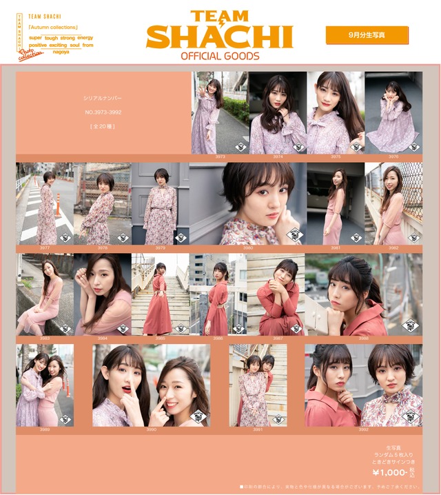 TEAM SHACHI 9月分生写真