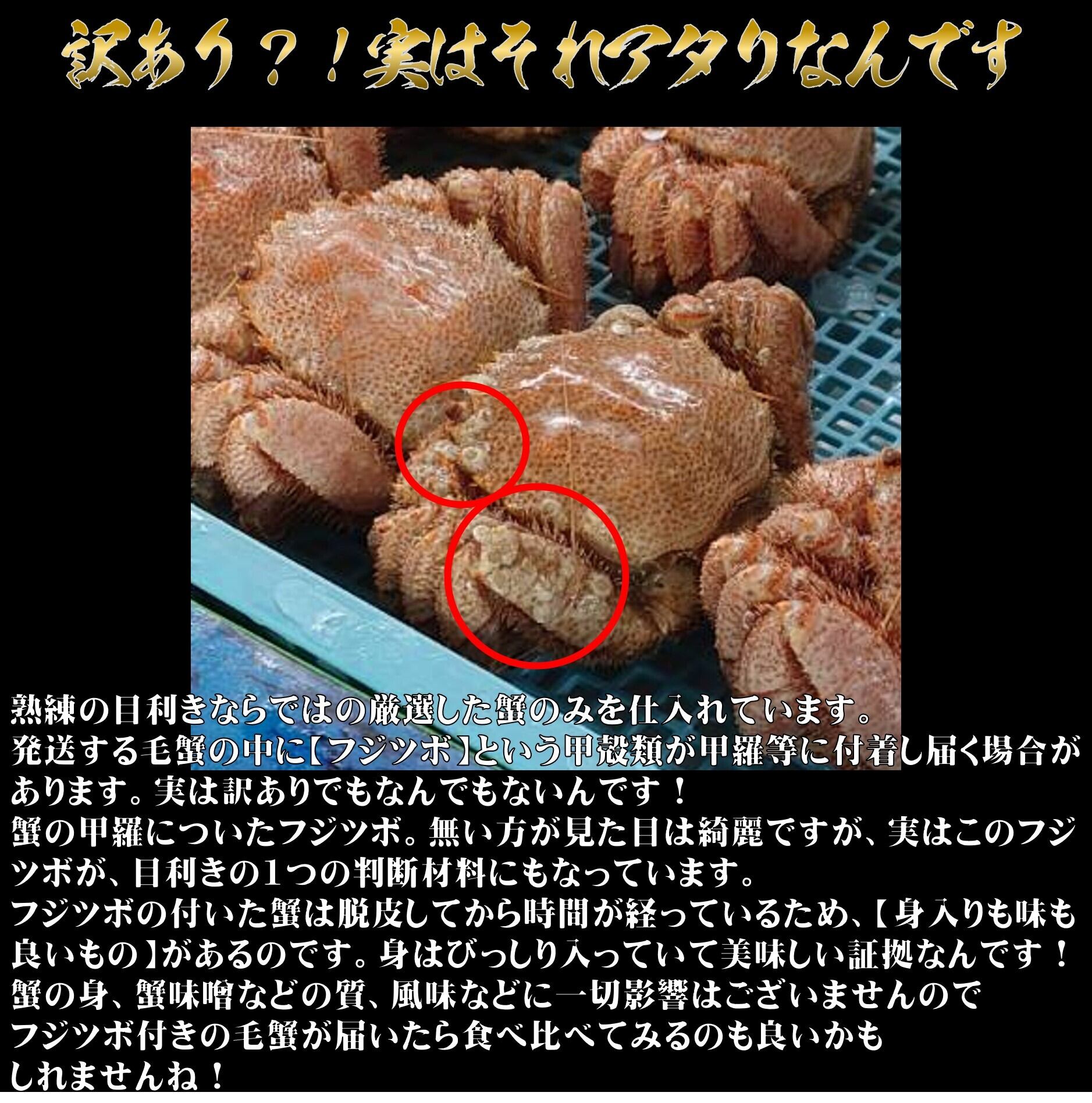 北海道産 毛蟹 3杯セット 北海道を代表する蟹 冷凍 ボイル 超お買い得 ...