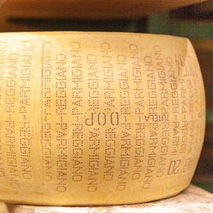 イタリア産 グラスフェッド パルミジャーノ・レッジャーノ 24ヶ月以上熟成 2kg 業務用 Grassfed Parmigiano Reggiano Cheese 24+ Months Aged 2kg | Bulk Pack