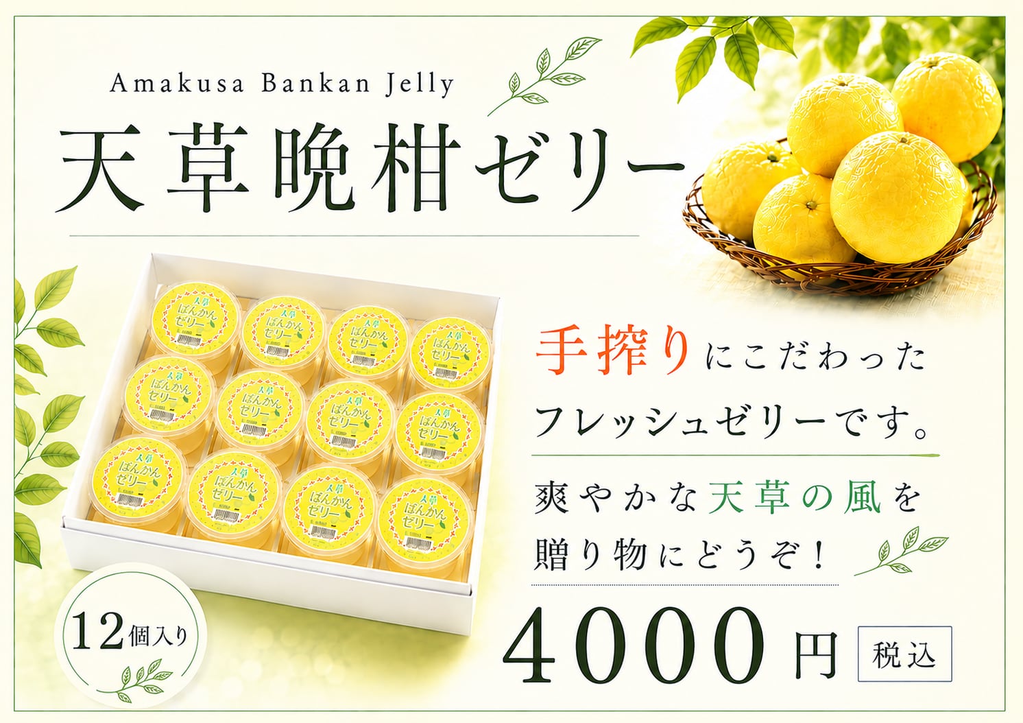 季節限定 あまくさ 晩柑ゼリー 12個入 | 菓子工房 s.port