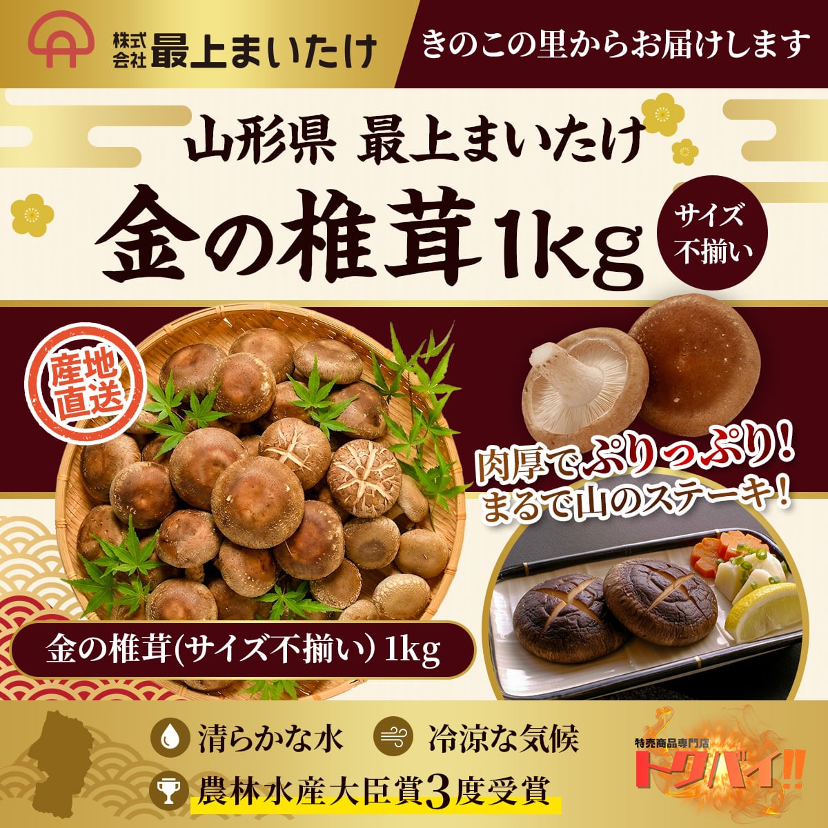 【山形 椎茸】イチオシ椎茸 1kg|肉厚 しいたけ|農林水産大臣賞|食物繊維|きのこ王国|ビタミンd|最上まいたけ|ビタミンdの食品|きのこ|きのこマイスター|無農薬|