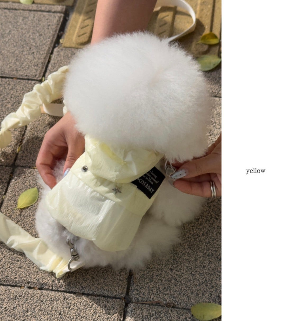 M/即納【pieonaday】Glow Windbreaker Harnessa (yellow)