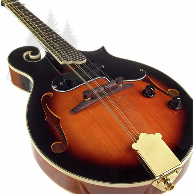 Fタイプ マンドリン PU付き ヨーロッパ製 Mandolin - Made in Europe