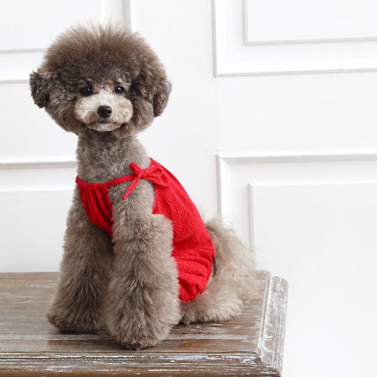 vienna romper S ~ XL 2color  /  犬服 オールインワン 韓国犬服 ドッグウェア ロンパース ふんわり ボリューム感 ゆったり 袖なし つなぎ 小型犬中型犬 無地 シンプル