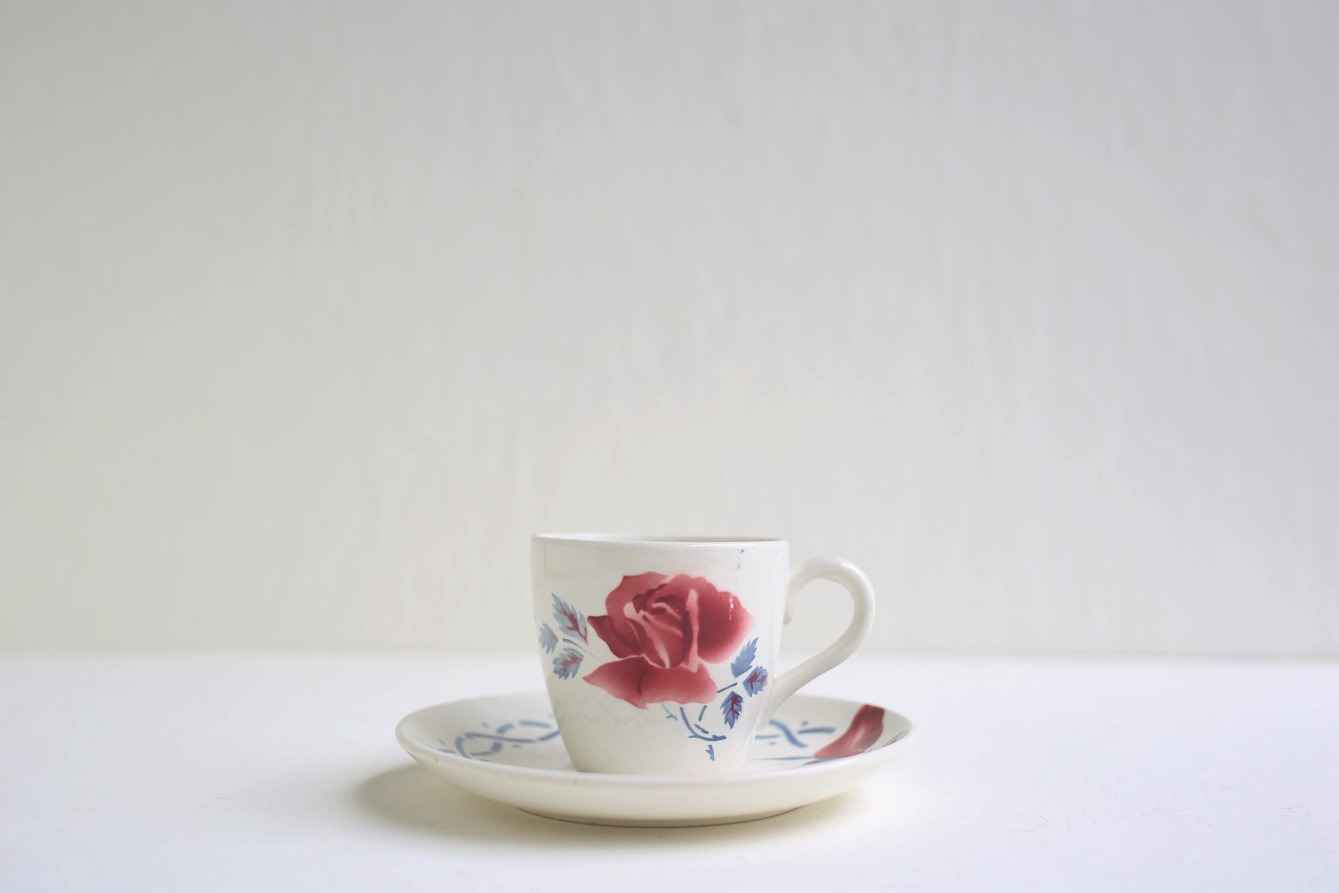 フランス アンティーク ヴィンテージ SARREGUEMINES サルグミンヌ 『JANINE』 カップ&ソーサーN-03911c