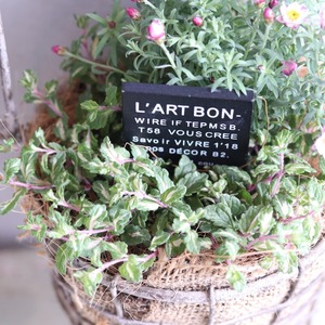 mondimanche　寄せ植え　ヘリクリサムななこバッグ｜　寄せ植え　届いてすぐ玄関に飾れる 　プレゼントにもオススメ　