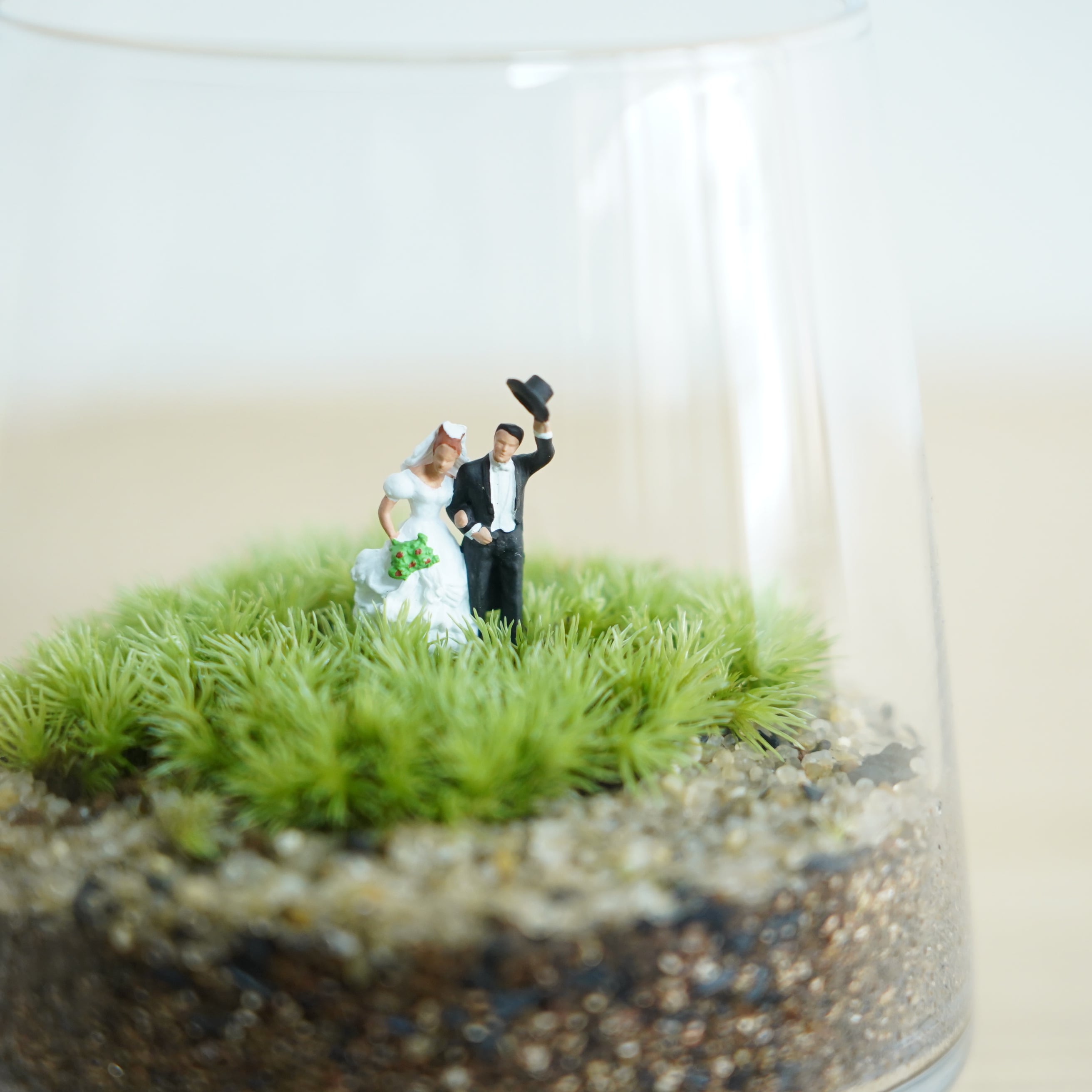 フィギュア】プライザー 新郎新婦 | 苔テラリウム専門ショップ道草