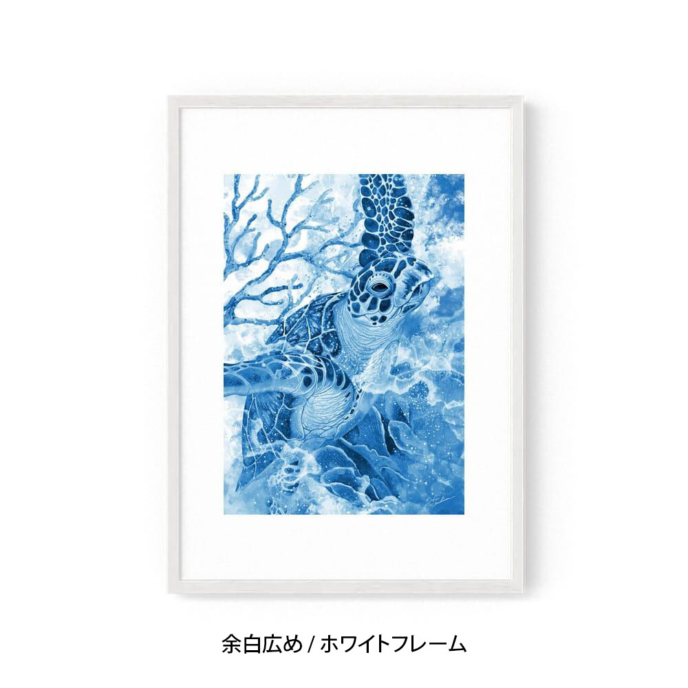 A2｜蒼海の海亀（フレームあり）