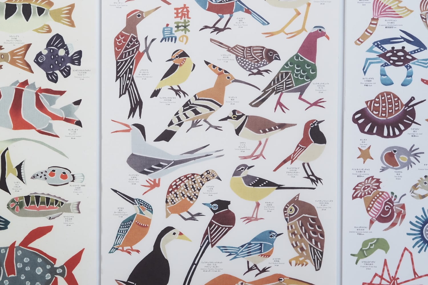 ポスター「琉球の魚」 紅型工房べにきち | heritage