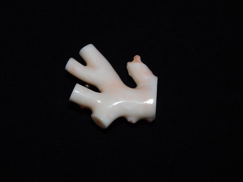 白珊瑚帯留 white coral obi sash clip