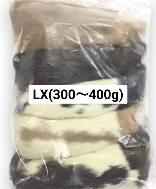 国産冷凍ラット アダルトXL(300~400g) 5匹入り
