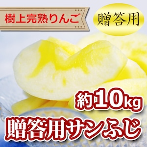 サンふじ(贈答用) 約10kg