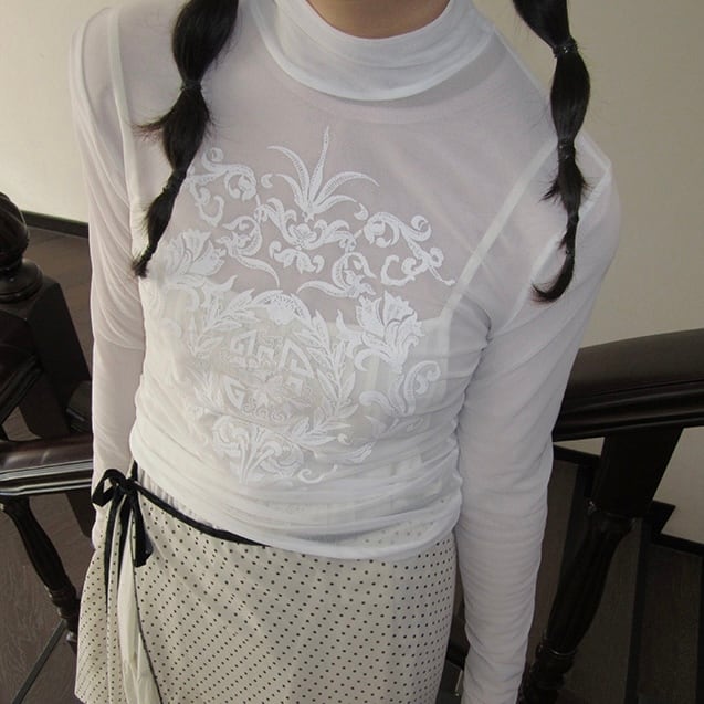 ハーフハイネックシアー長袖トップス_LN03019