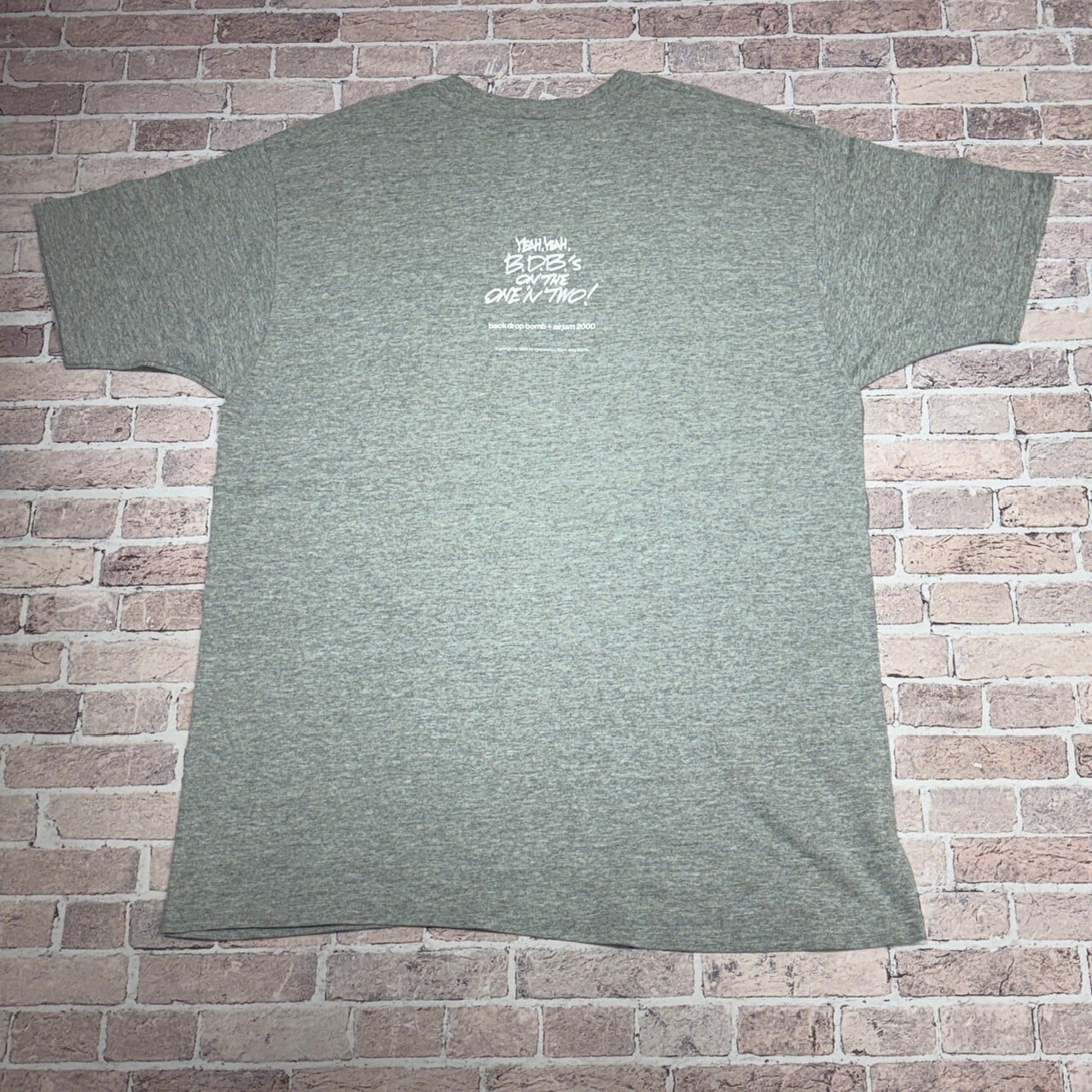 2000s BACK DROP BOMB T-SHIRT GRAY | safarionline