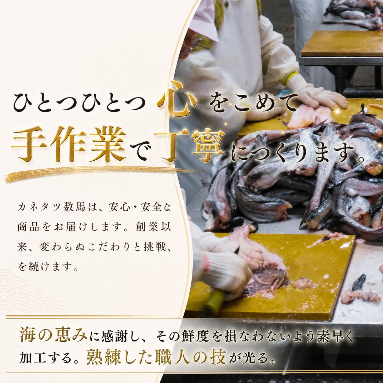 お中元いか干物セット　3000円