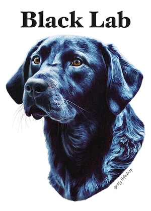 gray original Dog face &breed printed S/S TEE［Black Labrador］