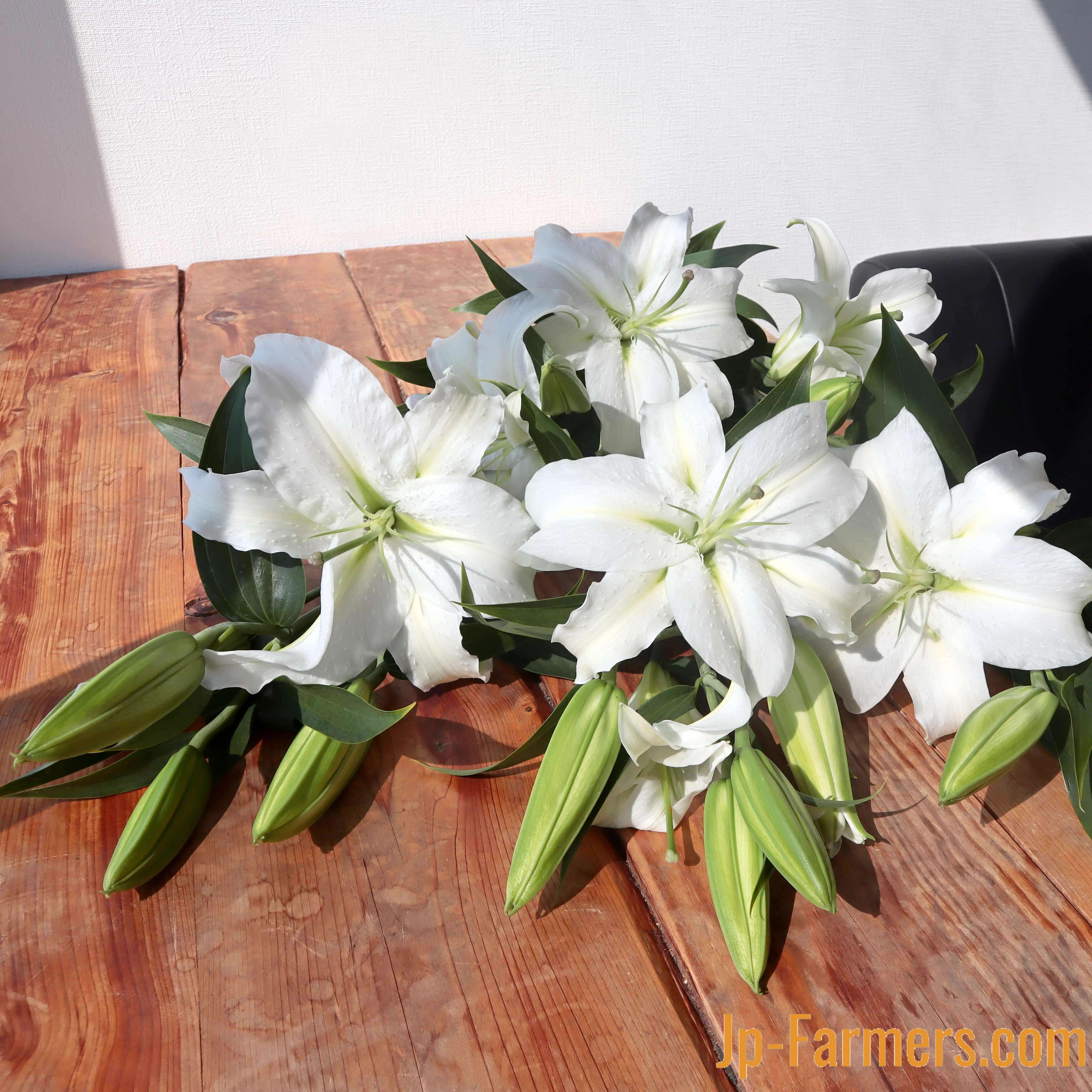 今からの季節は高冷産地！ 厳選 山形県産 JAそでうら オリエンタルユリ